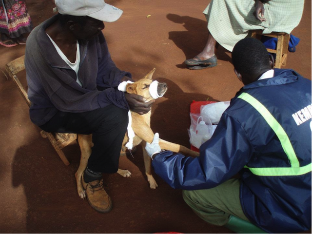 Kenya-CDC-rabies-vaccination
