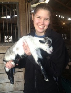 Melissa-Rich-newborn-goat