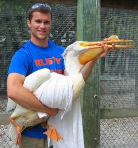Environmental Health & Toxicology: Rehabbing a oil-spill pelican in Florida.