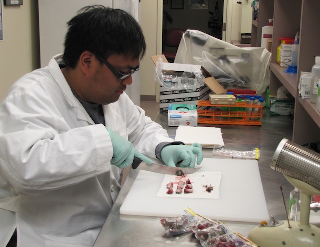 Mark processing samples in the lab.