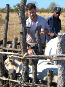 Elliott-Garber-cattle-vaccination-Mozambique-calf-tall
