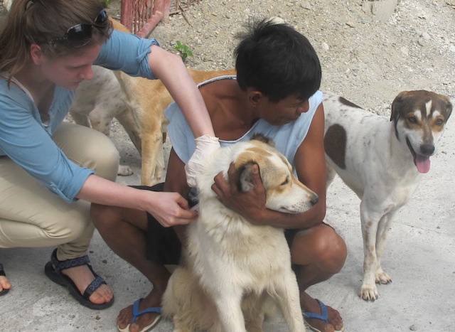 Anne-Christine-Føllesdal-dog-rabies-vaccination-Philippines