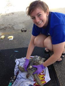 Austin-Leedy-sea-turtle-veterinarian