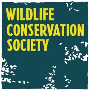 wildlife_conservation_society_wcs