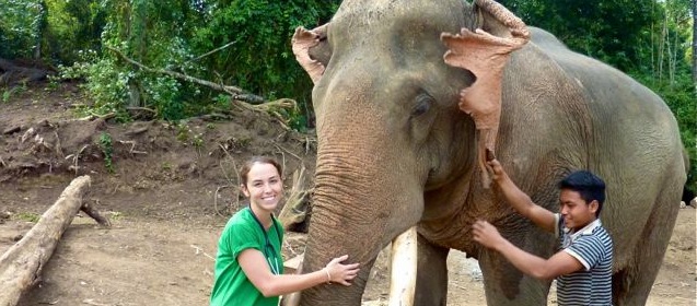 Job Available Now: Elephant Veterinarian in Laos Karla-Nova-elephant-veterinarian-Laos