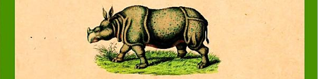 The Rhino With Glue-On Shoes: A Book Review Rhino-With-Glue-On-Shoes-Cover-Feature